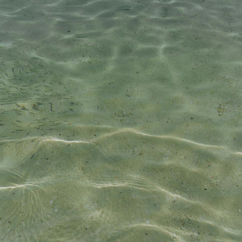 Clear shallow water with gentle ripples and a small school of fish swimming near the sandy bottom.