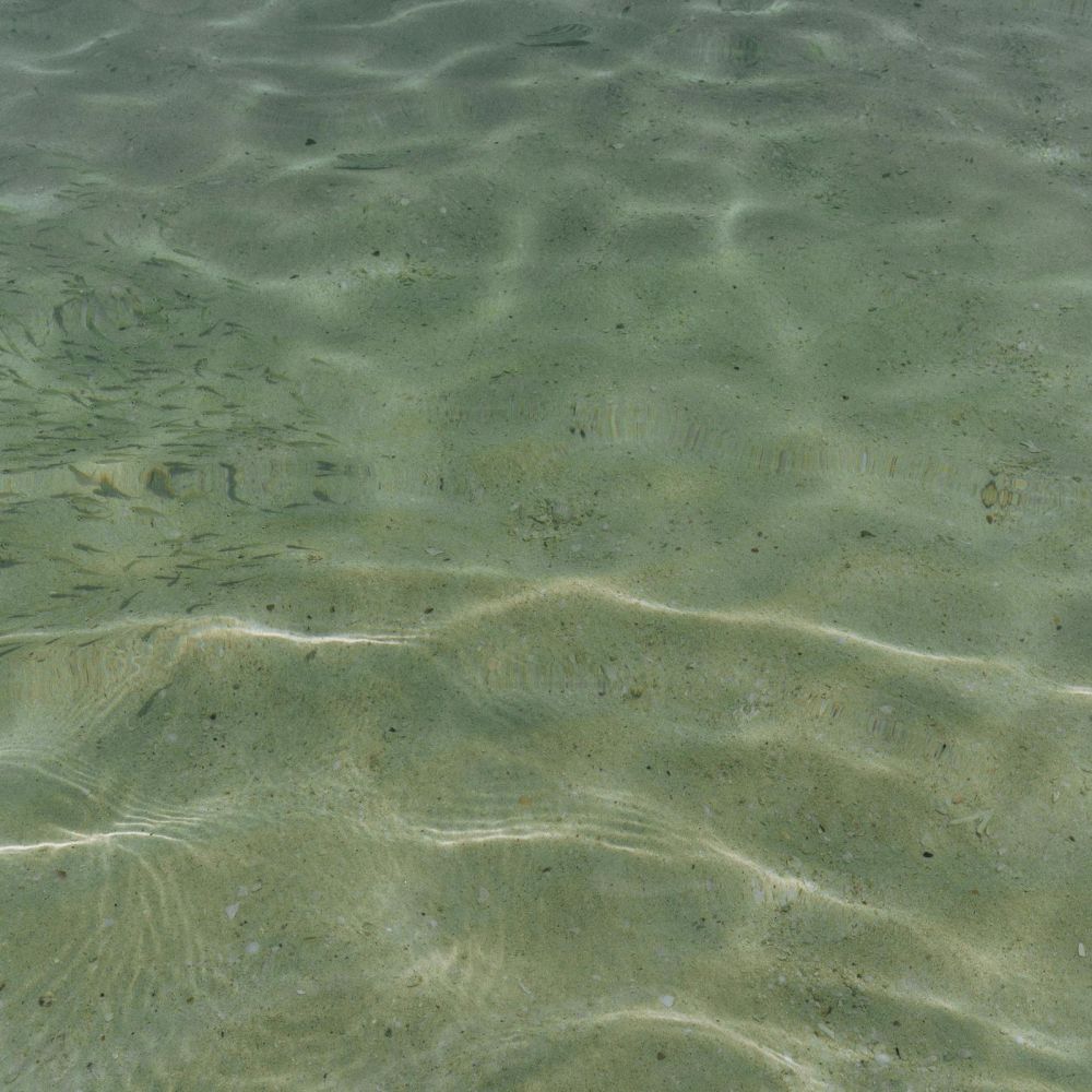 Clear shallow water with gentle ripples and a small school of fish swimming near the sandy bottom.