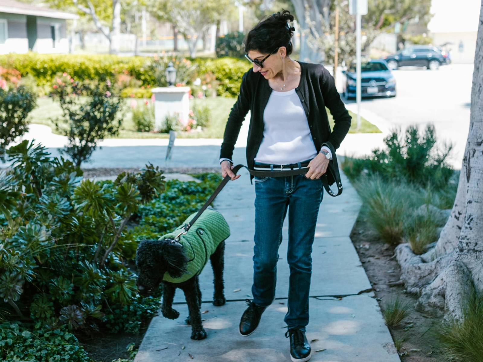 Woman walking a black dog in a green sweater on a sunny day along a sidewalk lined with plants and trees.