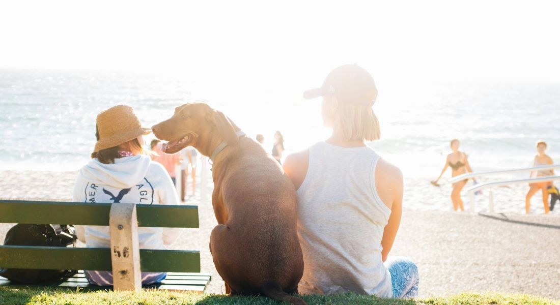 Woman overlooking water with dog.